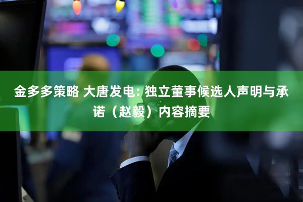 金多多策略 大唐发电: 独立董事候选人声明与承诺（赵毅）内容摘要