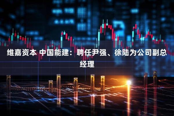 维嘉资本 中国能建：聘任尹强、徐陆为公司副总经理