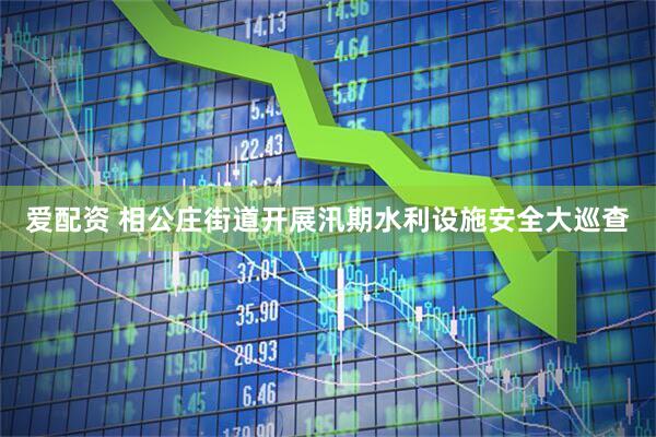 爱配资 相公庄街道开展汛期水利设施安全大巡查