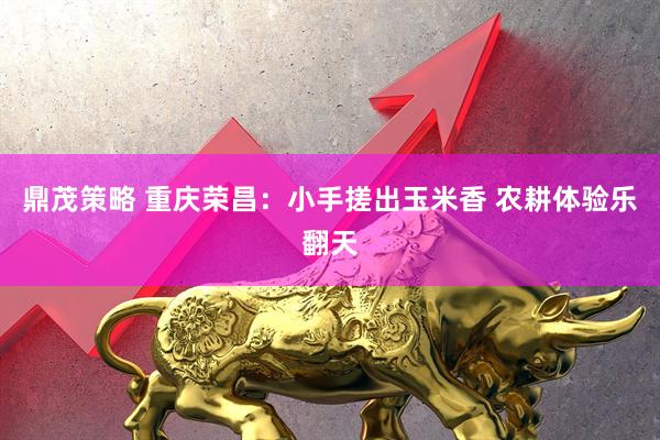 鼎茂策略 重庆荣昌：小手搓出玉米香 农耕体验乐翻天