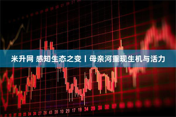 米升网 感知生态之变丨母亲河重现生机与活力