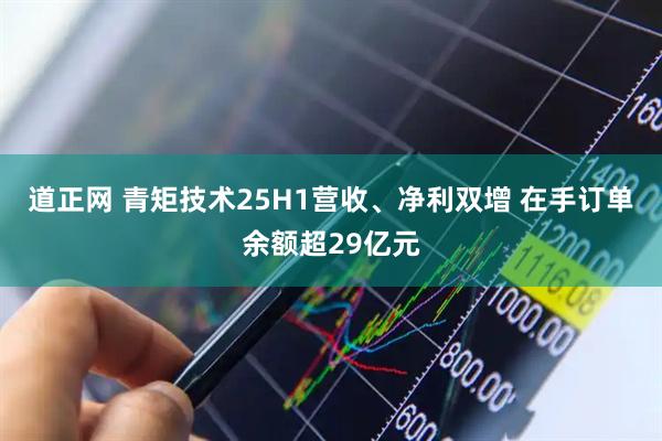 道正网 青矩技术25H1营收、净利双增 在手订单余额超29亿元