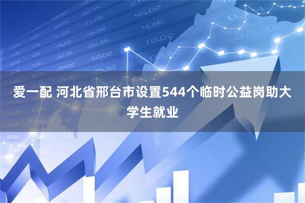 爱一配 河北省邢台市设置544个临时公益岗助大学生就业