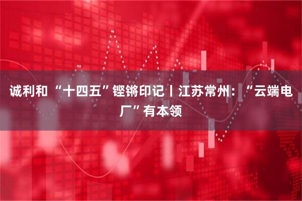 诚利和 “十四五”铿锵印记丨江苏常州：“云端电厂”有本领