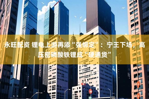 永旺配资 锂电上游再添“强绑定”：宁王下场，高压密磷酸铁锂成“硬通货”