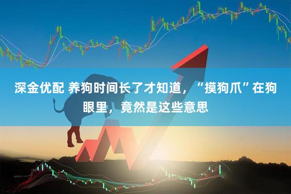 深金优配 养狗时间长了才知道，“摸狗爪”在狗眼里，竟然是这些意思