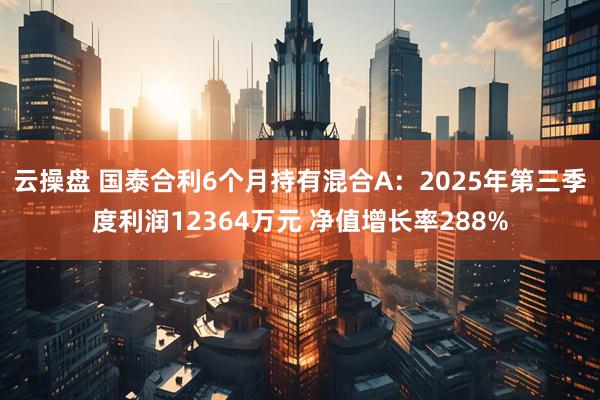 云操盘 国泰合利6个月持有混合A：2025年第三季度利润12364万元 净值增长率288%
