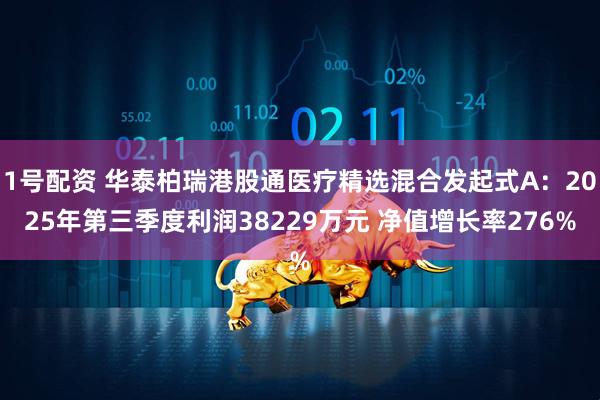 1号配资 华泰柏瑞港股通医疗精选混合发起式A：2025年第三季度利润38229万元 净值增长率276%