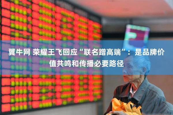 翼牛网 荣耀王飞回应“联名蹭高端”：是品牌价值共鸣和传播必要路径