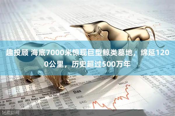 趣投顾 海底7000米惊现巨型鲸类墓地，绵延1200公里，历史超过500万年