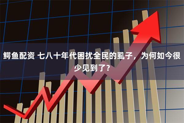 鳄鱼配资 七八十年代困扰全民的虱子，为何如今很少见到了？